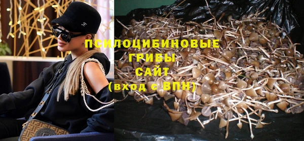 твердый Алексин