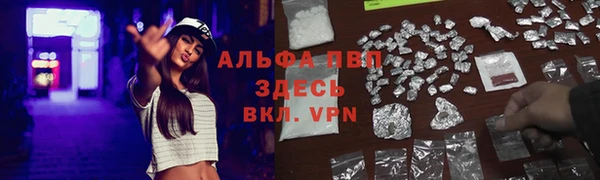 твердый Алексин