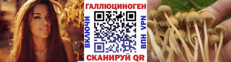 OMG ТОР  Задонск  Галлюциногенные грибы мицелий 